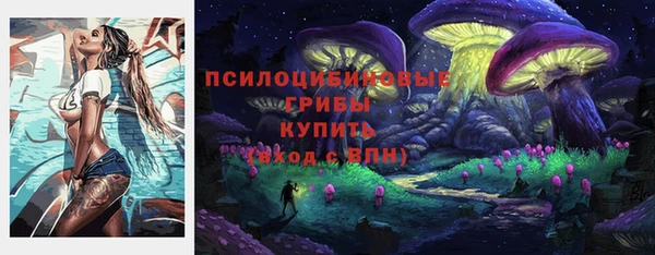 трава Арсеньев