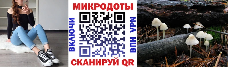 Галлюциногенные грибы Magic Shrooms  hydra маркетплейс  Вичуга  наркота 